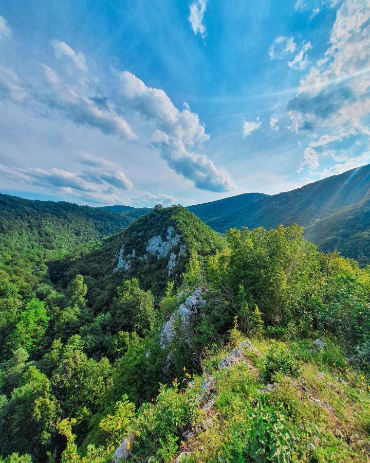 Restoran Sa Prenocistem Gornjak Krepoljin Bagian luar foto
