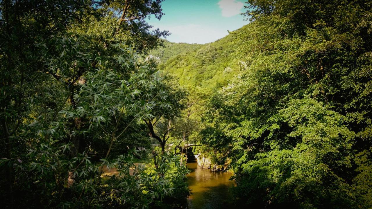 Restoran Sa Prenocistem Gornjak Krepoljin Bagian luar foto